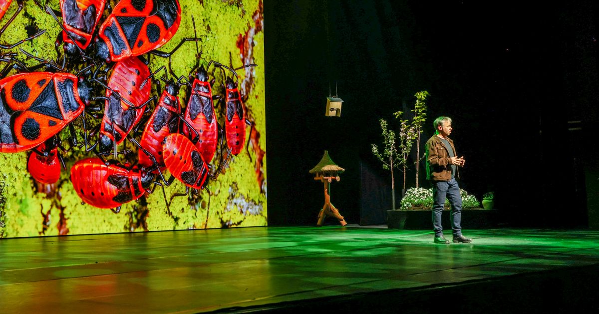 Stadssafari — Theatercollege met Luc Hoogenstein