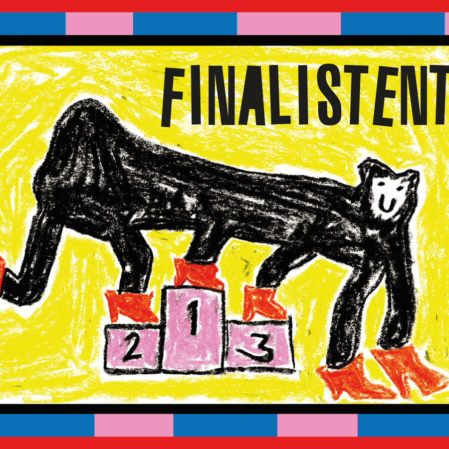 Leids Cabaret Festival Finalistentour