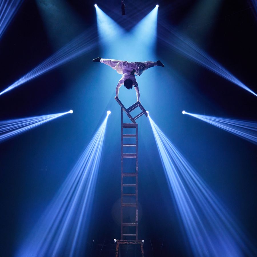 Circus & Show