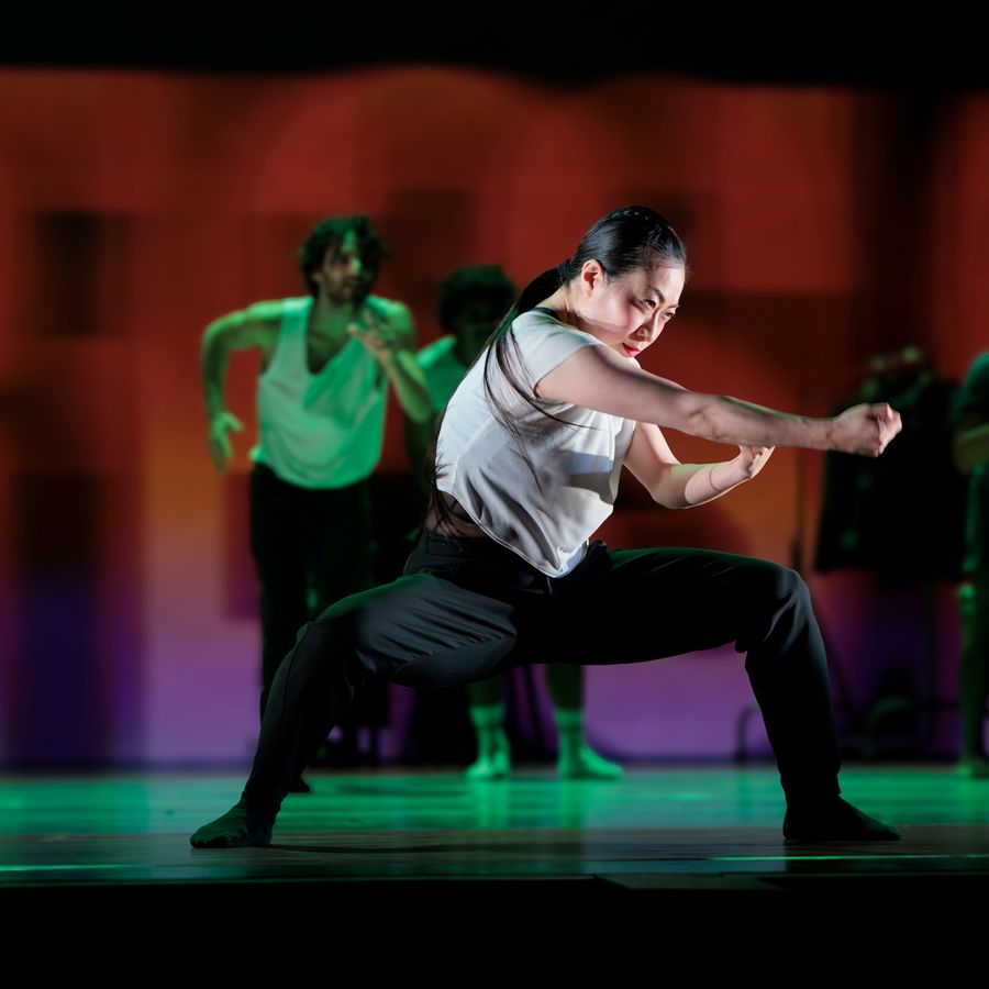 Conny Janssen Danst