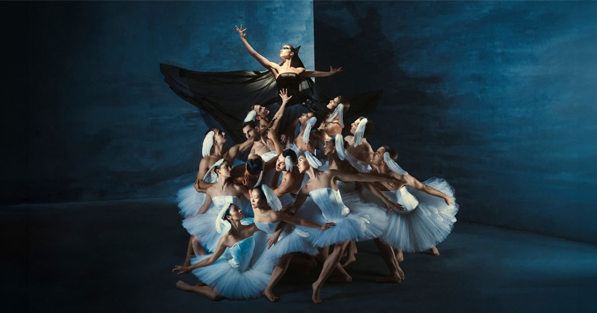 Swan Lake — Introdans
