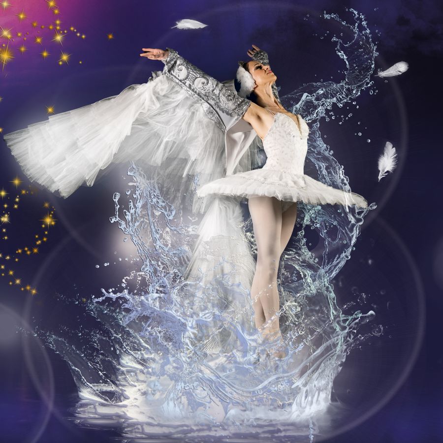 Ballet van de Staatsopera van Stara Zagora - Het Zwanenmeer