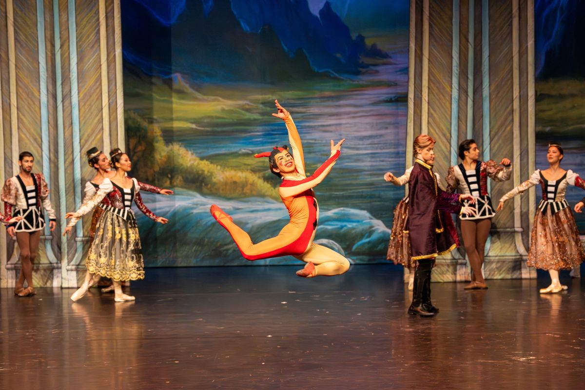 Ballet van de Staatsopera van Stara Zagora - Het Zwanenmeer