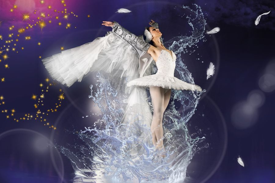 Ballet van de Staatsopera van Stara Zagora - Het Zwanenmeer